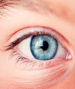 Lenses and Frames